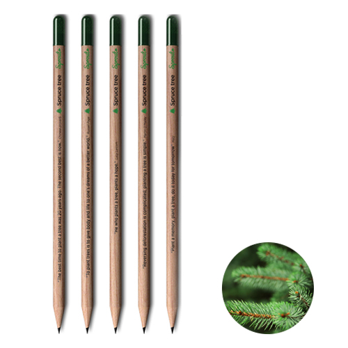 Sprout-Bleistift mit Baumsamen - Bild 1
